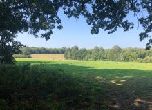 Top-Farm-Camping-and-Glamping-norfolk-3