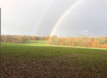 Top-Farm-Camping-and-Glamping-norfolk-4