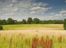 sunny-day-in-caravan-field