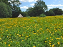 View from Bell Tent